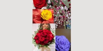 Forever Roses from Ecuador, The Perfect Blend of Beauty and Timelessness