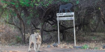 Photographer Dr. Karim Kadiwar