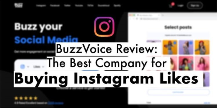 BuzzVoice Review: The Best Company for Buying Instagram Likes