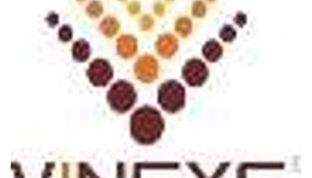 Vinsys IT Services rides AI skilling opportunity in the Middle East to power its growth strategy