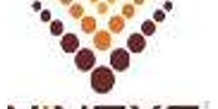 Vinsys IT Services rides AI skilling opportunity in the Middle East to power its growth strategy